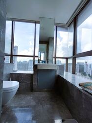Skyline Residences (D4), Condominium #539316511